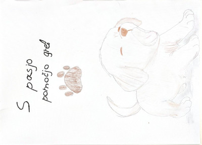 Frida, 11 let