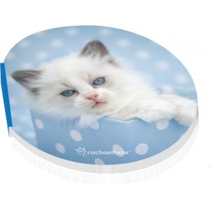 Beležka Rachel Hale