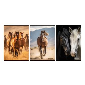 Zvezek Street Horses A4 črte z robom